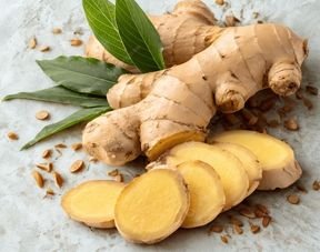 Premium Agro Products